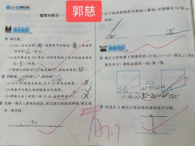 难得的优秀作业