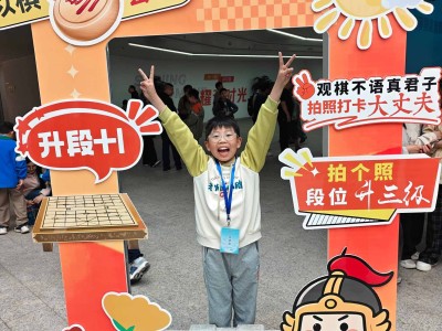安徽象棋考级赛